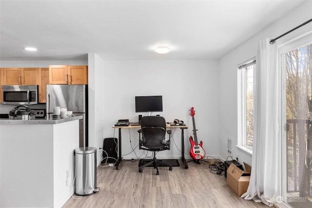 office featuring light hardwood / wood-style flooring