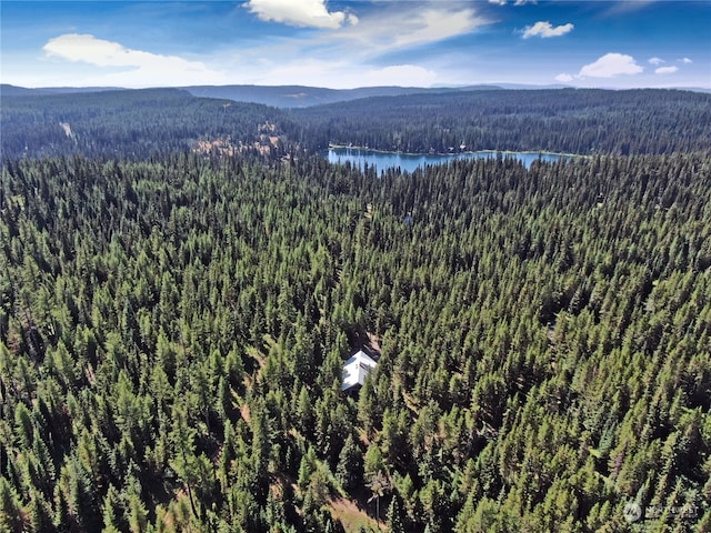 bird's eye view with a mountain view