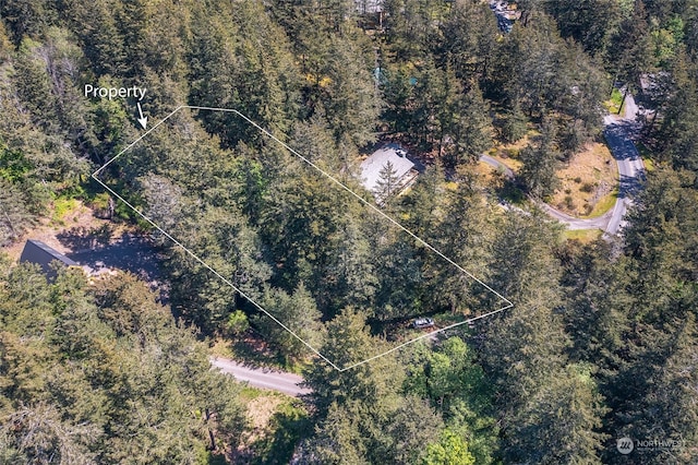 0 Rosario Rd, Orcas Island WA, 98245 land for sale