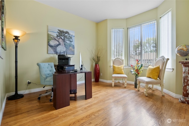 office featuring light wood-type flooring