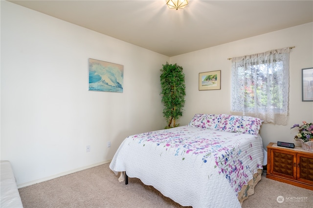 bedroom with carpet