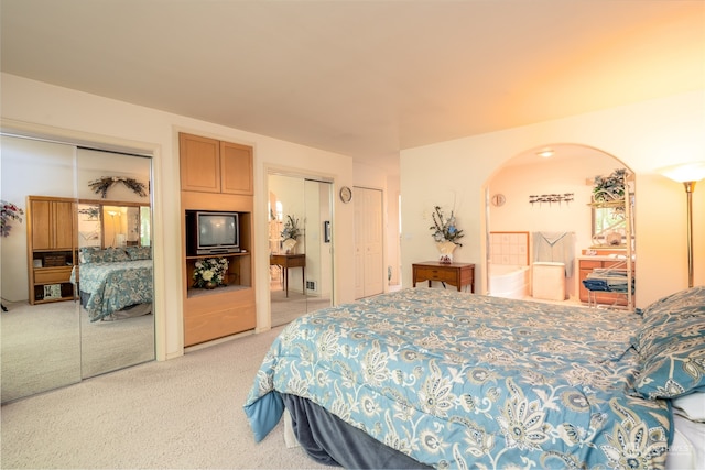 bedroom with two closets and light carpet