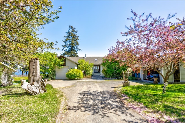 view of property hidden behind natural elements with a garage and a front yard