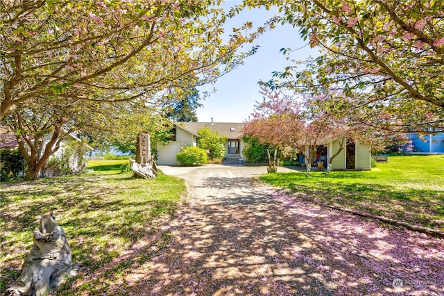 view of property hidden behind natural elements featuring a front lawn