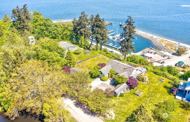 drone / aerial view with a water view and a beach view