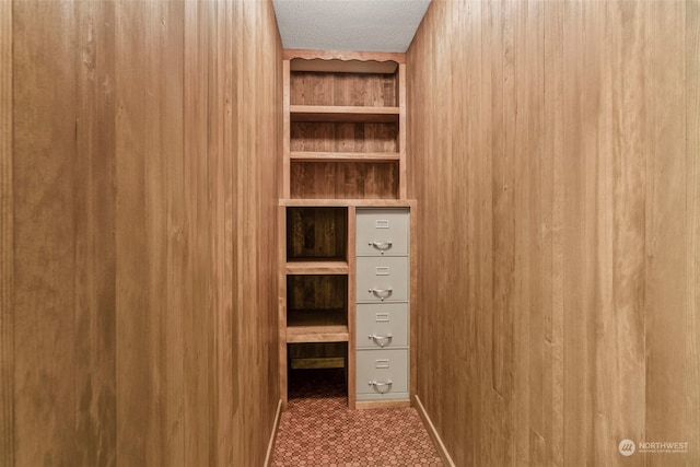 spacious closet featuring carpet