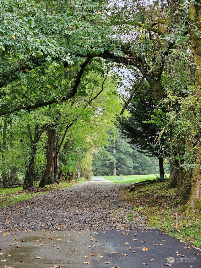 view of street featuring a forest view