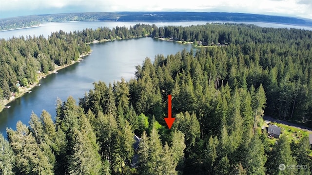 11110 108th St, Anderson Island WA, 98303 land for sale