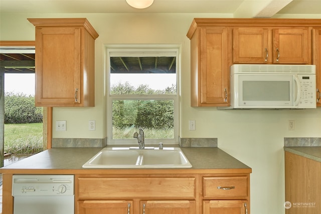 kitchen with white appliances and sink