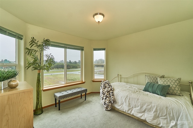 bedroom featuring carpet floors and multiple windows