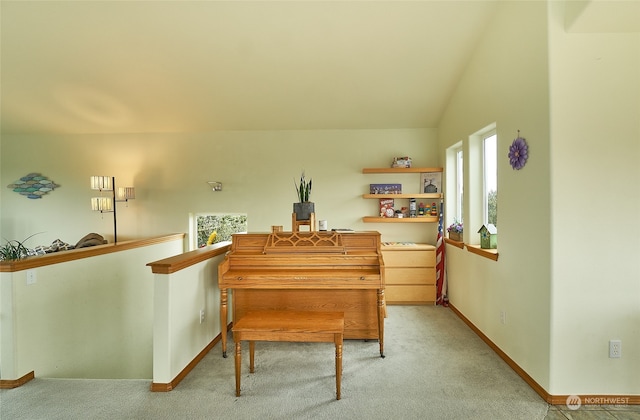 miscellaneous room featuring vaulted ceiling, plenty of natural light, and carpet flooring