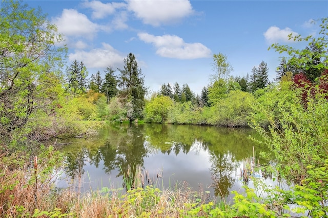 property view of water