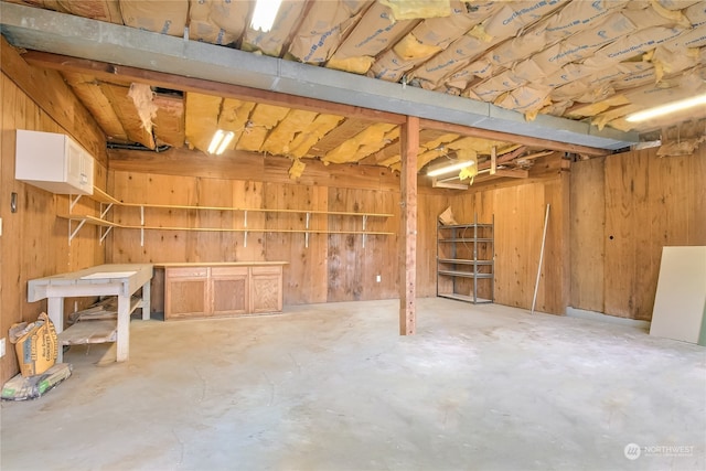 basement with wooden walls