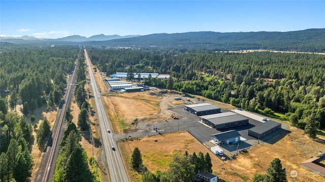 birds eye view of property with a mountain view and a view of trees