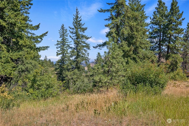 Listing photo 2 for 0XXX Morrison Canyon Rd, Cle Elum WA 98922