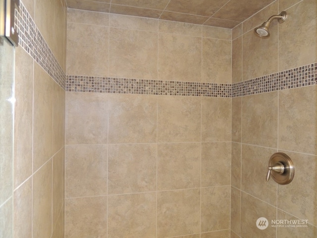 interior details with tiled shower