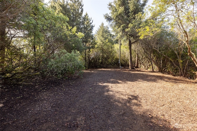 Listing photo 2 for 254 S Narwahl Loop SW, Ocean Shores WA 98569