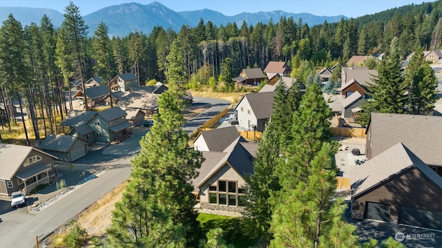 aerial view with a mountain view