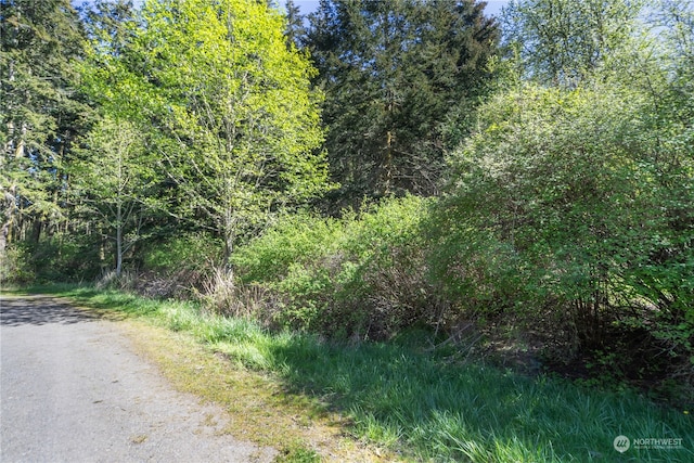 12XX 48th St, Port Townsend WA, 98368 land for sale