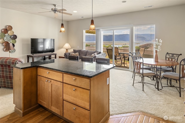 9246 Red Cliff Dr NW Unit B66, Quincy, WA 98848 - kitchen with hanging light fixtures, light hardwood / wood-style floors, and ceiling fan