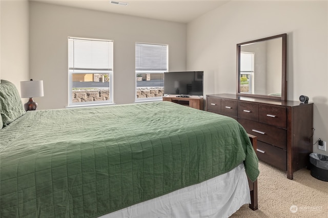 9246 Red Cliff Dr NW Unit B66, Quincy, WA 98848 - view of carpeted bedroom