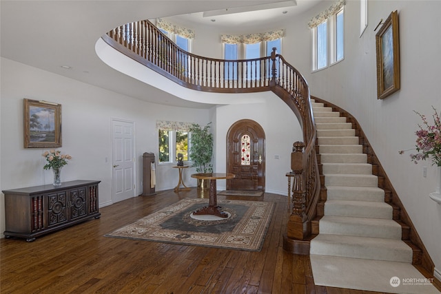 foyer with a towering ceiling and dark wood-type flooring