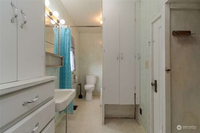 bathroom with toilet and sink