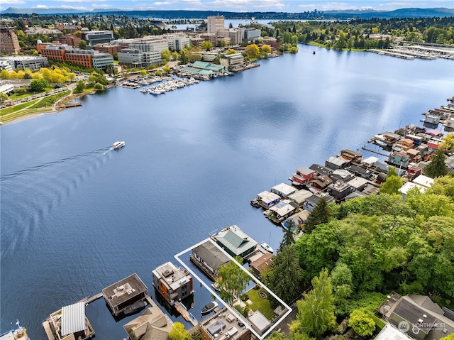 drone / aerial view with a water view