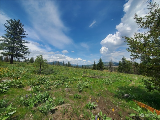 0TBD Landers Rd, Malott WA, 98829 land for sale