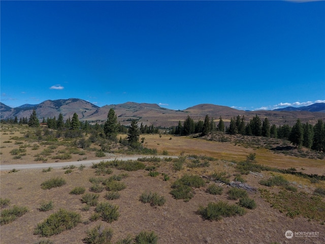 1 Perrow Rd, Winthrop WA, 98862 land for sale