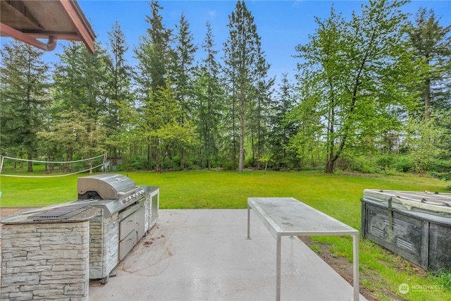 view of patio / terrace featuring area for grilling