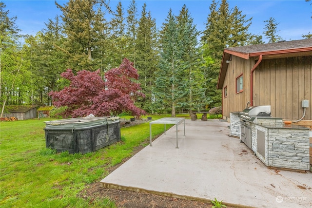 view of patio with a grill and an outdoor kitchen