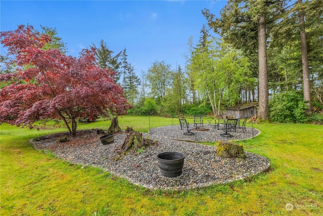 view of yard with a patio area