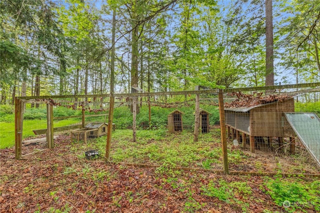 view of yard featuring an outdoor structure