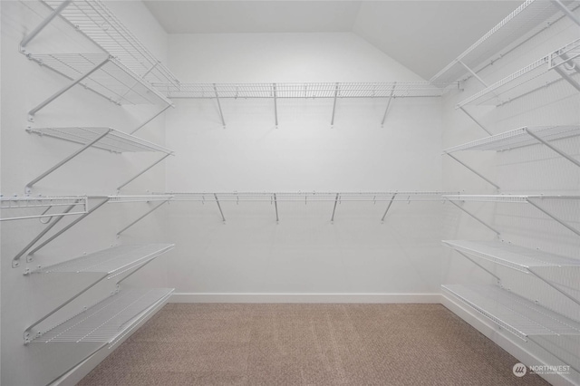 spacious closet with carpet floors and lofted ceiling