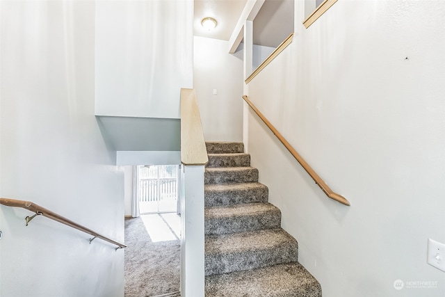 stairs with carpet flooring