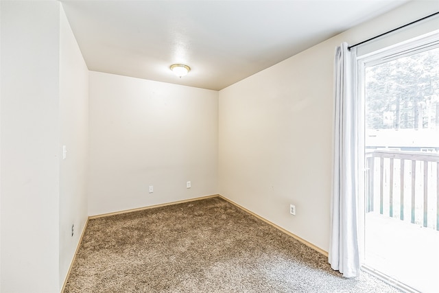 spare room featuring carpet flooring