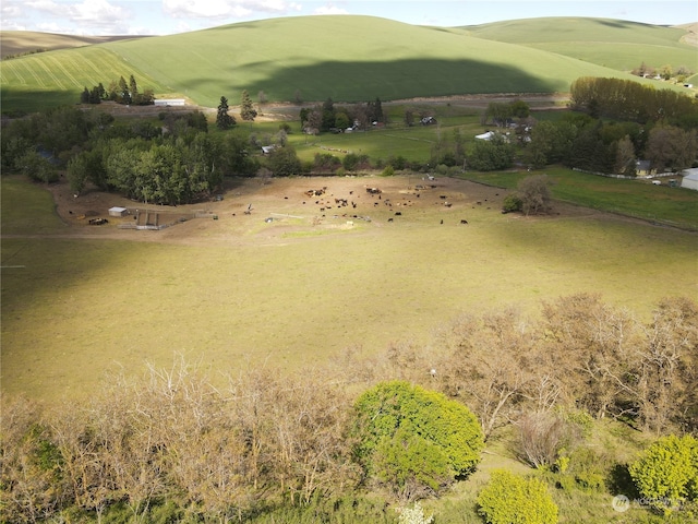 birds eye view of property with a rural view