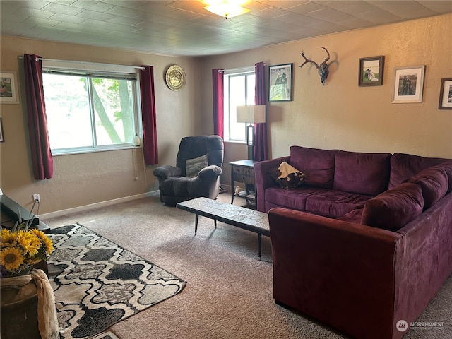 living room with carpet