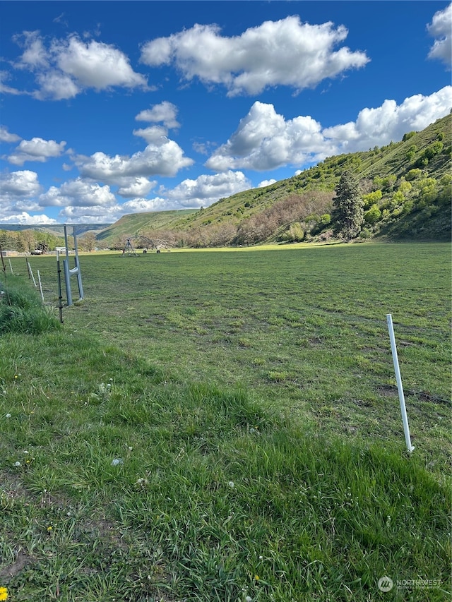 view of yard with a mountain view and a rural view