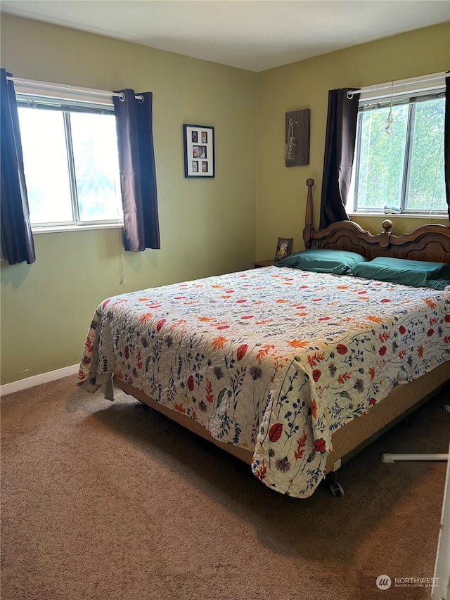 carpeted bedroom with multiple windows