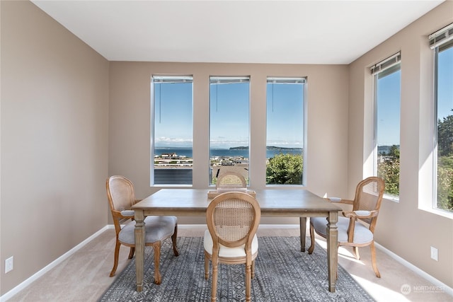 dining room featuring carpet and a water view