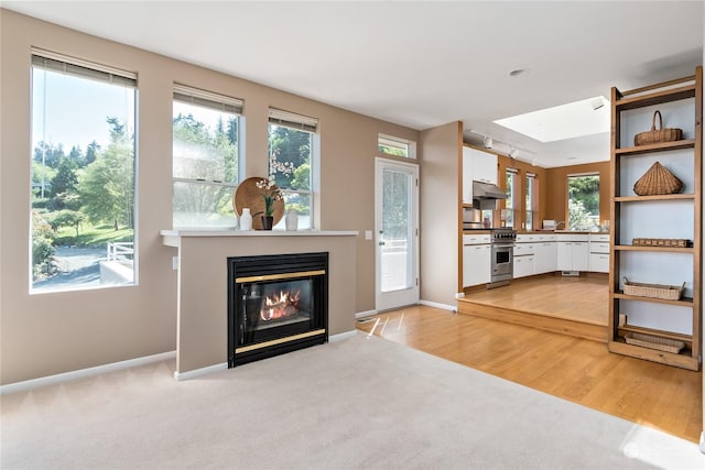 unfurnished living room featuring light hardwood / wood-style flooring