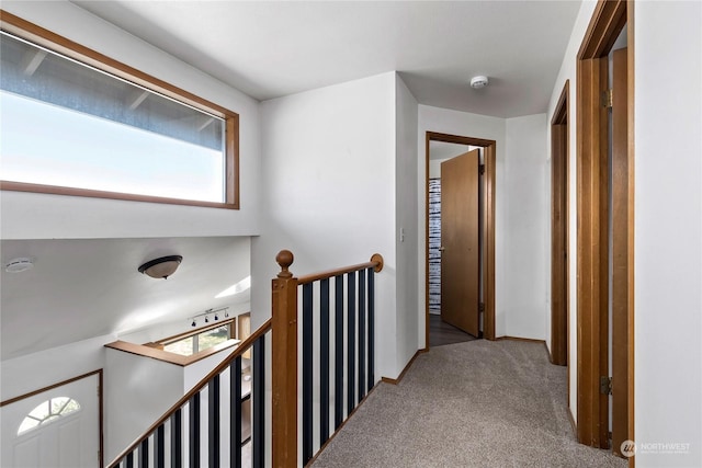 hallway featuring light carpet and a wealth of natural light