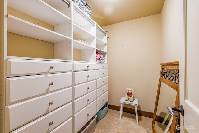 13003 Roosevelt Rd, Snohomish, WA 98290 - photo 23
