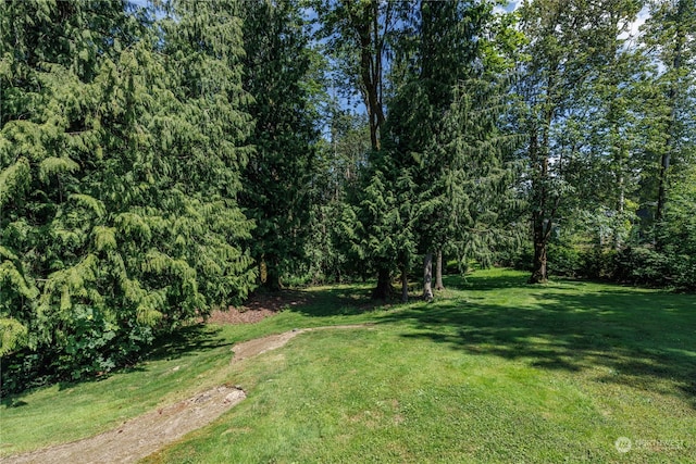 13003 Roosevelt Rd, Snohomish, WA 98290 - photo 38