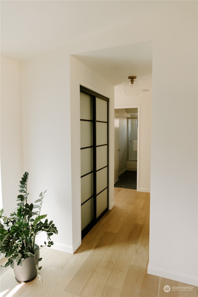 corridor with light hardwood / wood-style flooring