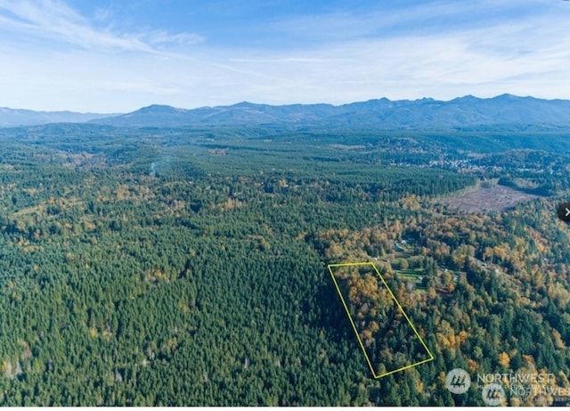 0 267th Avenue Ct E, Carbonado WA, 98323 land for sale