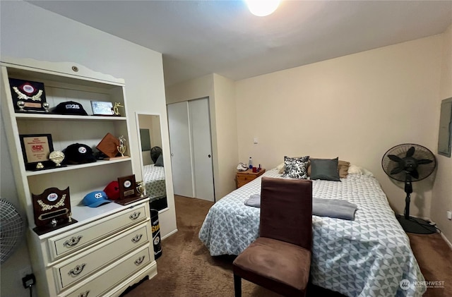 712714 142nd Pl SE, Bellevue, WA 98007 - bedroom featuring dark carpet, a closet, and electric panel