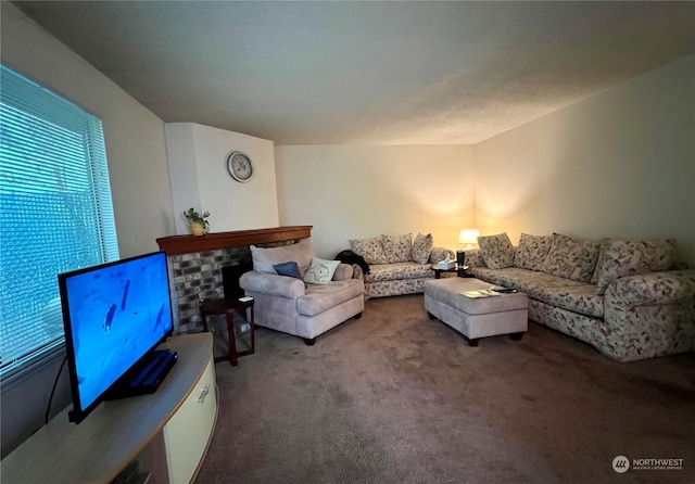 712714 142nd Pl SE, Bellevue, WA 98007 - living room featuring carpet floors